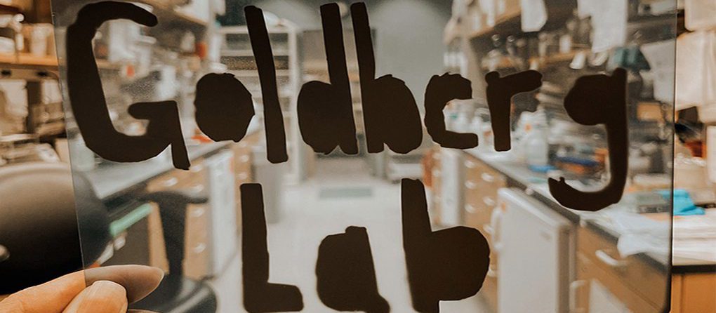 Goldberg Lab